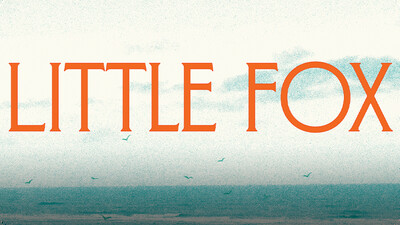 Little Fox