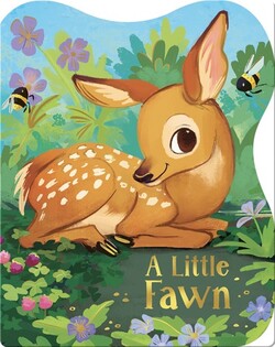 A Little Fawn