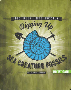 Digging Up Sea Creature Fossils
