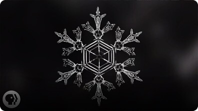 Identical Snowflakes? Scientist Ruins Winter For Everyone