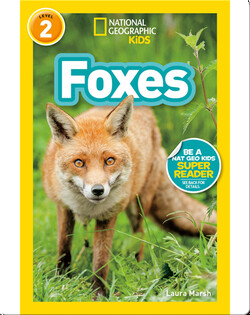 National Geographic Readers: Foxes