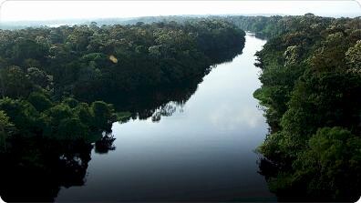 AnimalFanPedia: Amazonian Adventure