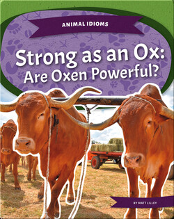 Strong as an Ox: Are Oxen Powerful?