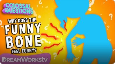 Colossal Questions: What's So Funny About The Funny Bone?
