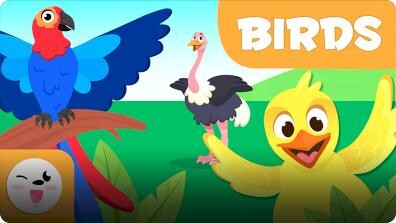 Smile and Learn Animals: Birds