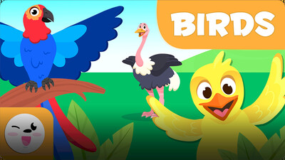 Smile and Learn Animals: Birds