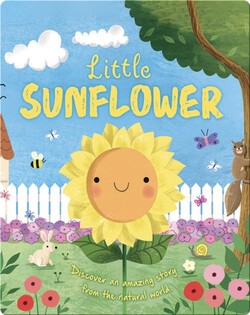 Little Sunflower