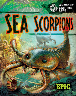 Ancient Marine Life: Sea Scorpions