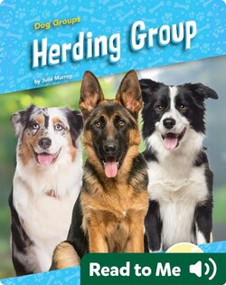 Herding Group