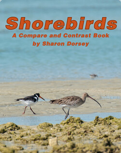 Shorebirds: A Compare and Contrast Book