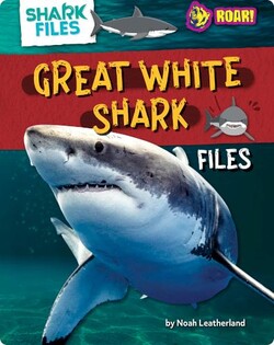 Great White Shark