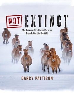Not Extinct