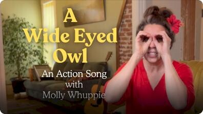 A Wide Eyed Owl