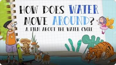 How Does Water Move Around