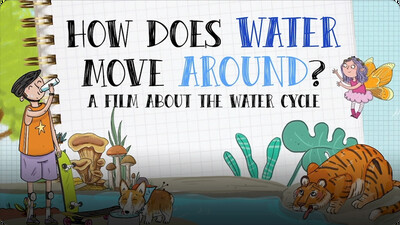 How Does Water Move Around