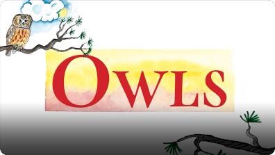 Owls