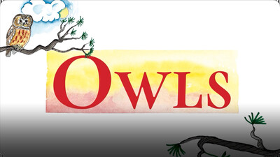 Owls