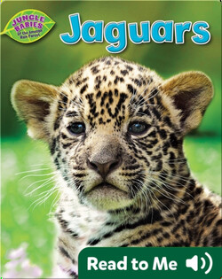 Jaguars