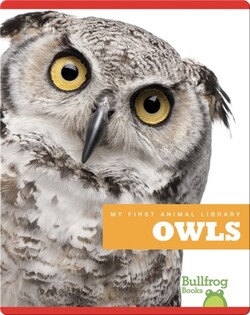 My First Animal Library: Owls