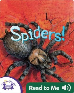 Spiders!