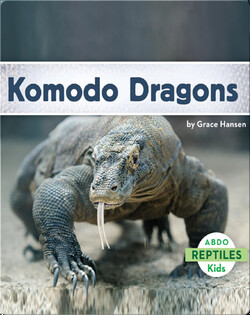 Komodo Dragons