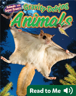 Gravity-Defying Animals