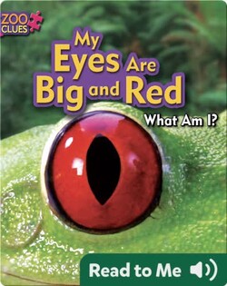 My Eyes Are Big and Red