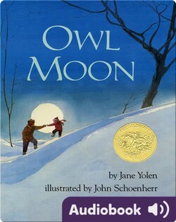 Owl Moon