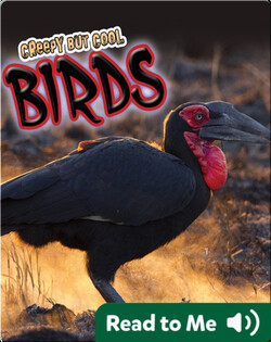 Creepy But Cool Birds