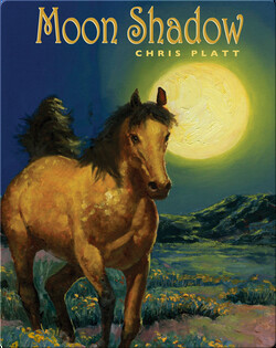 Moon Shadow