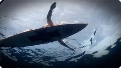 Shark Attacks