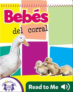 Bebés del corral