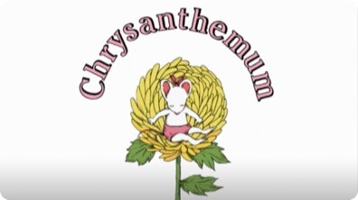 Chrysanthemum