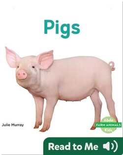 Pigs