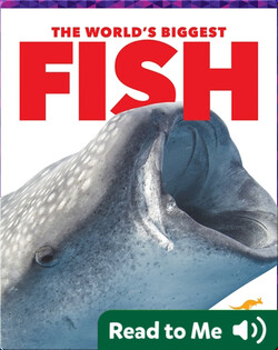 The World's Biggest Fish
