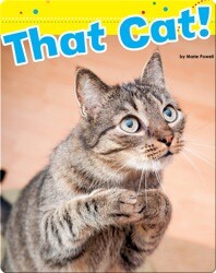 That Cat!