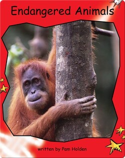 Endangered Animals