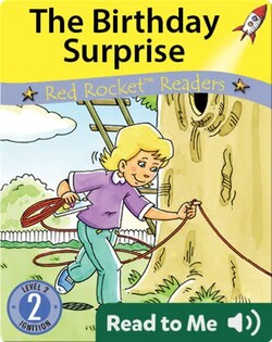 The Birthday Surprise