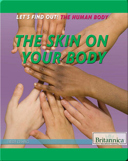 The Skin on Your Body