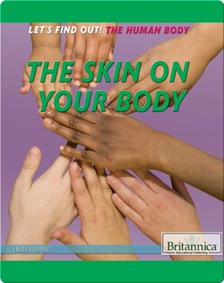 The Skin on Your Body