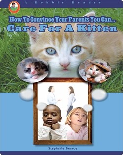 Care for a Kitten