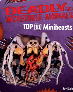 Top 10 Minibeasts