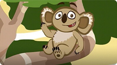 I'm a Koala