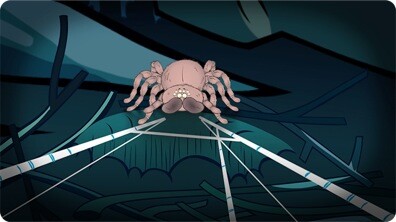 I'm a Tarantula