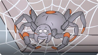 I'm a Spider