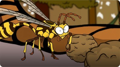 I'm a Mud Wasp