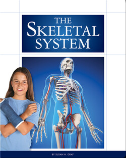 The Skeletal System