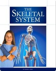 The Skeletal System
