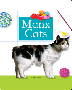 Manx Cats