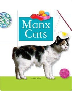 Manx Cats